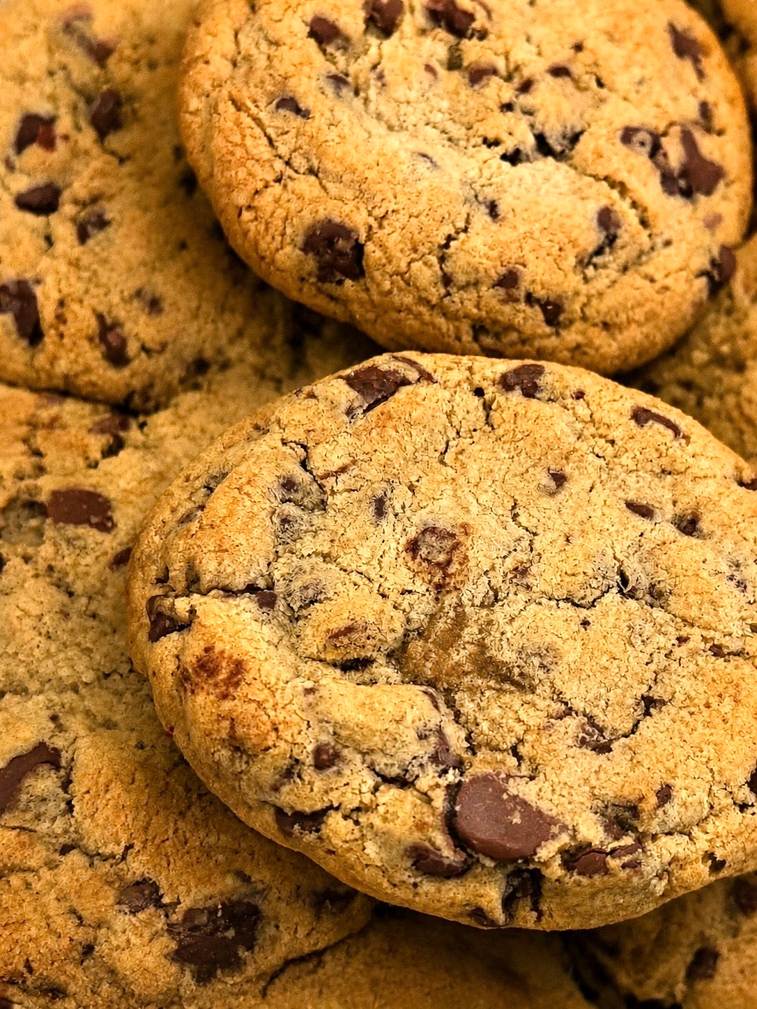 Triple Chocolate Chip Cookie